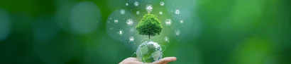 Der Umwelt zuliebe: Nachhaltigkeit im Unternehmen Hand hält transparente Erdkugel mit Baum vor grünem Hintergrund.